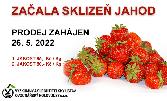Prodej jahod 2022